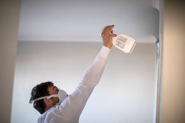 Best Commercial Mold Removal  in Stockton, CA