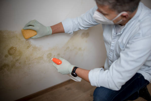 Water Damage Restoration in Stockton, CA