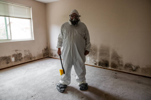 Best Certified Mold Removal  in Stockton, CA